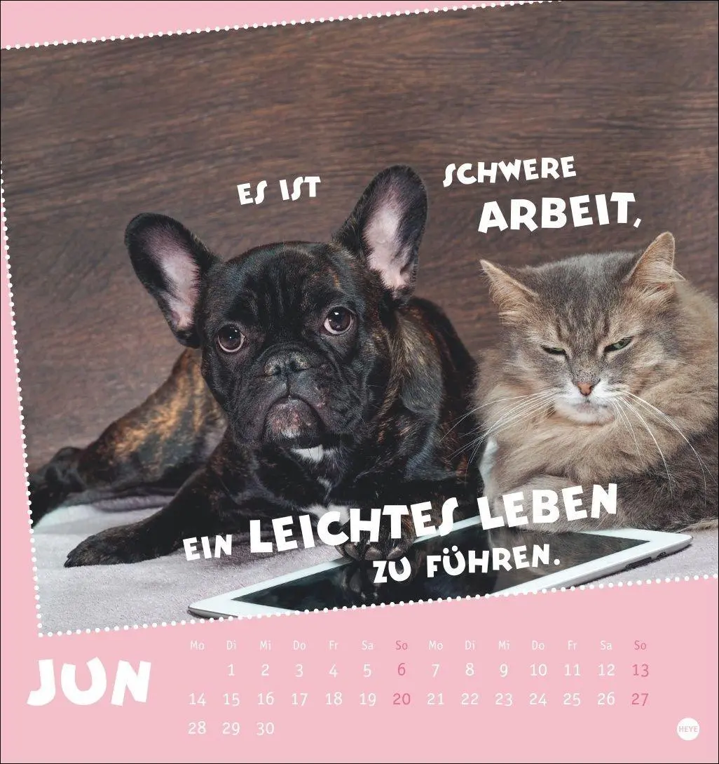 Bild: 9783756416226 | Mach mal Pause Postkartenkalender 2027 - Für das Arbeitstier in dir