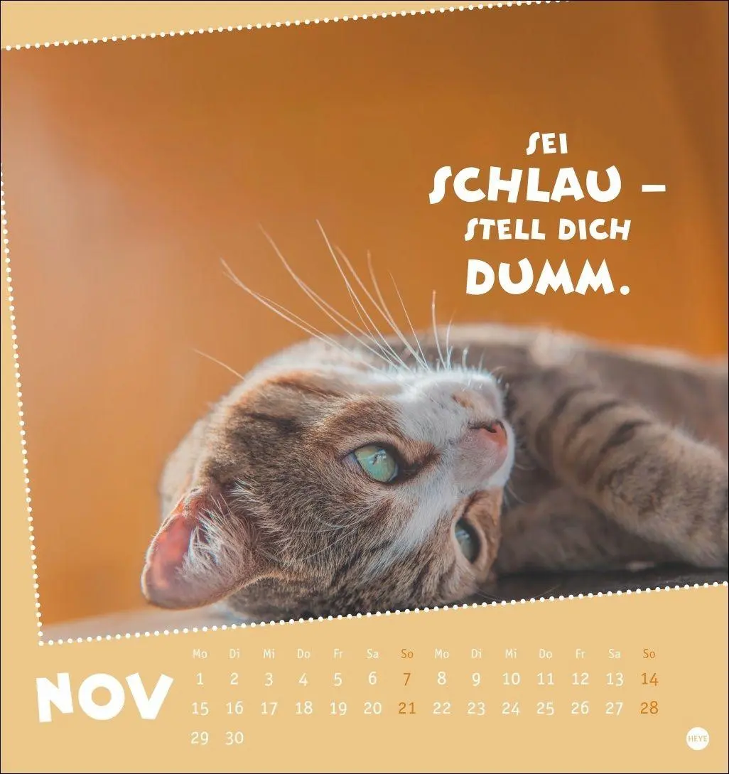 Bild: 9783756416226 | Mach mal Pause Postkartenkalender 2027 - Für das Arbeitstier in dir