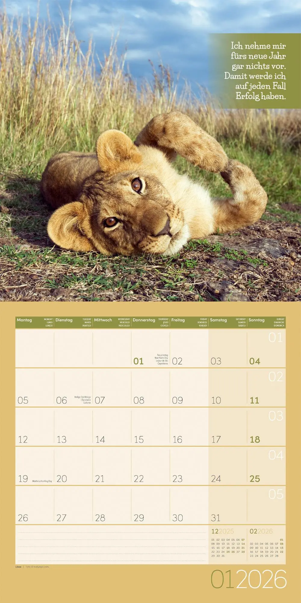 Bild: 9783838446226 | Keep Smiling! Kalender 2026 - 30x30 | Ackermann Kunstverlag GmbH