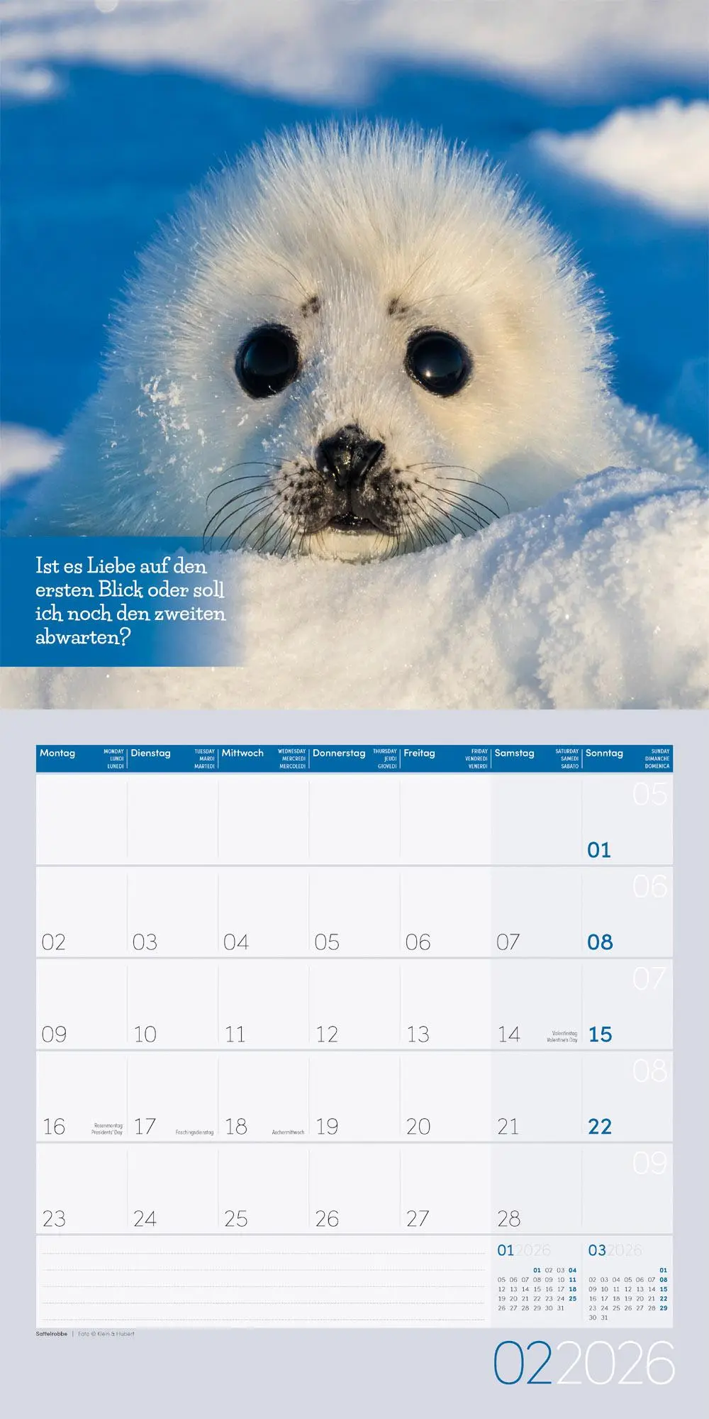 Bild: 9783838446226 | Keep Smiling! Kalender 2026 - 30x30 | Ackermann Kunstverlag GmbH