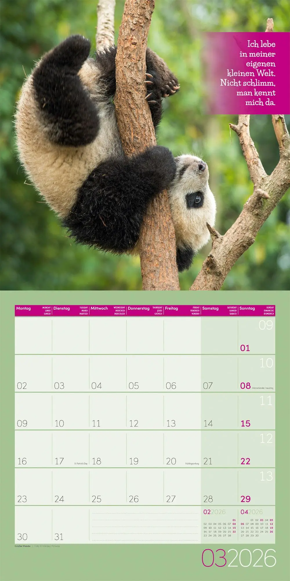 Bild: 9783838446226 | Keep Smiling! Kalender 2026 - 30x30 | Ackermann Kunstverlag GmbH