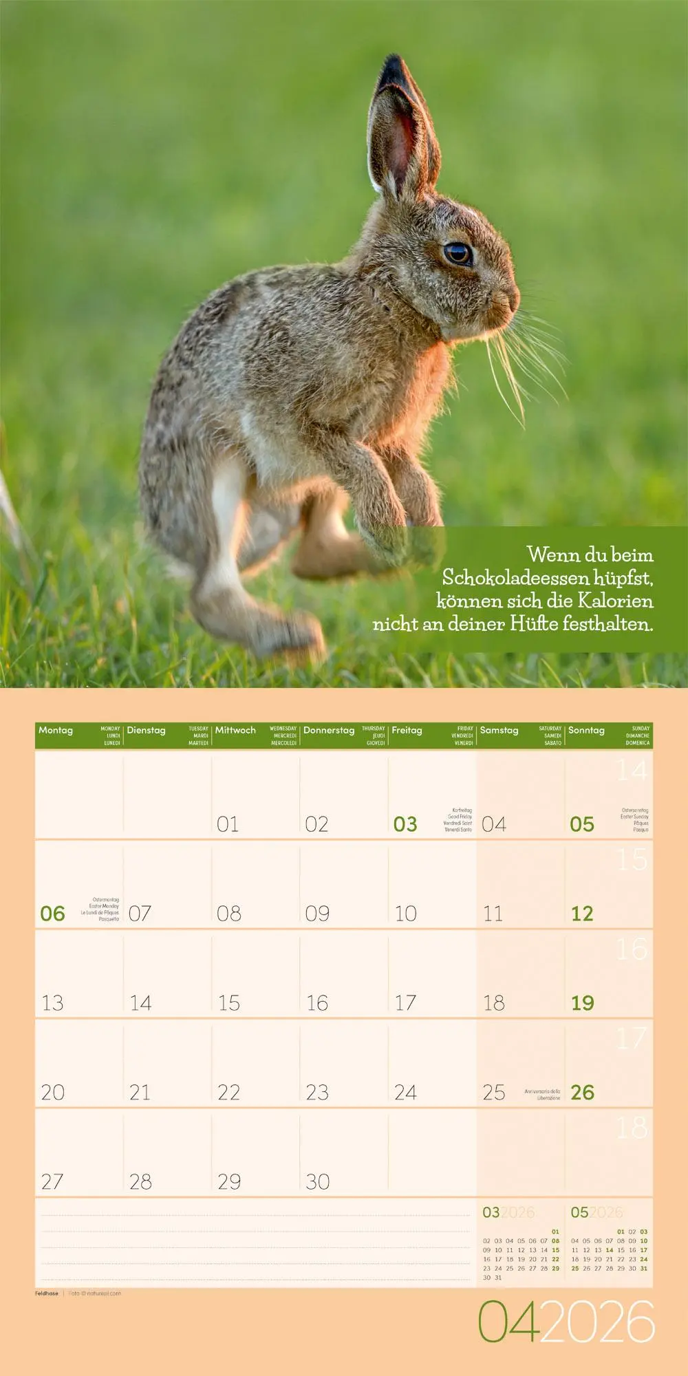 Bild: 9783838446226 | Keep Smiling! Kalender 2026 - 30x30 | Ackermann Kunstverlag GmbH