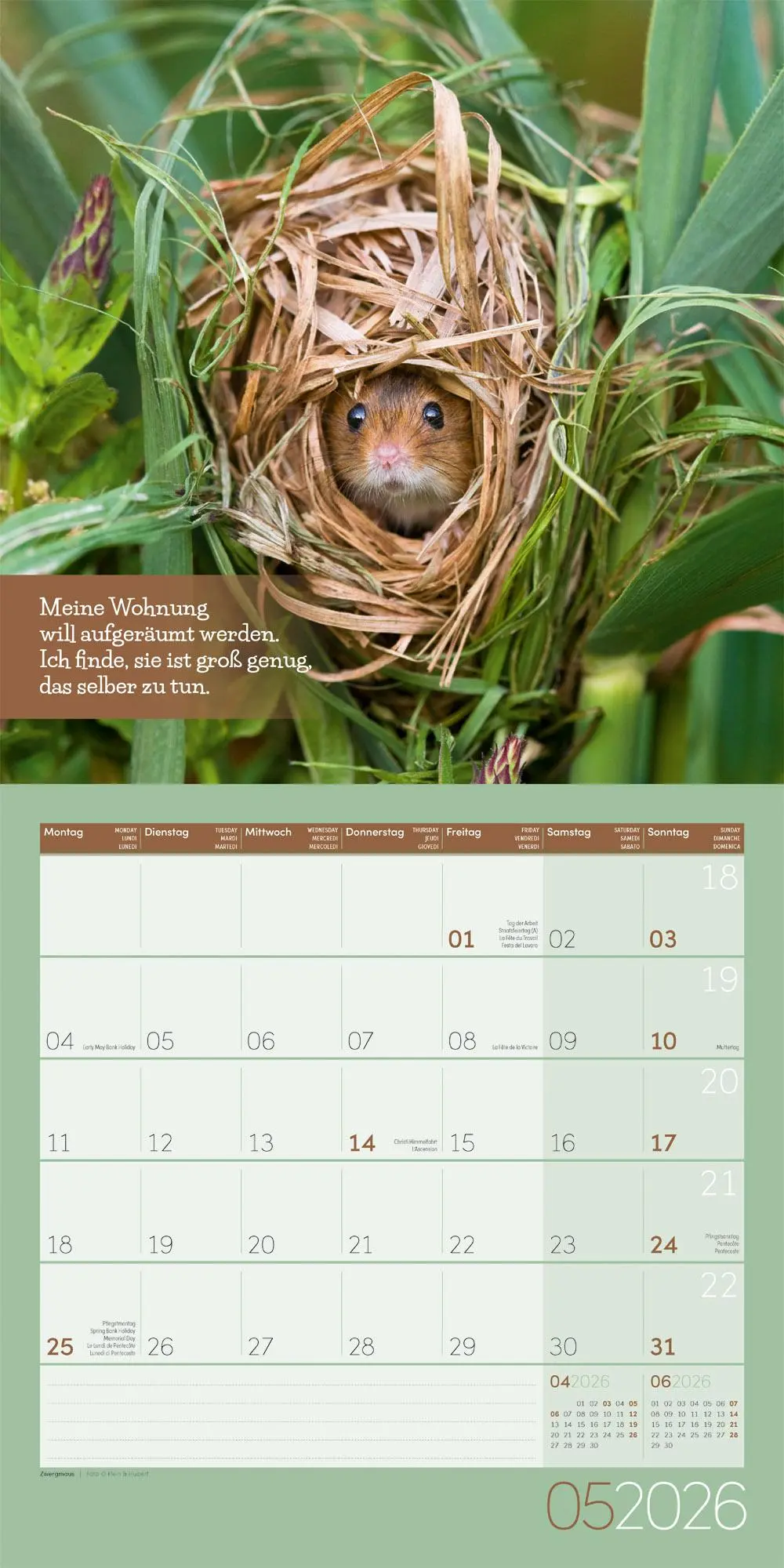 Bild: 9783838446226 | Keep Smiling! Kalender 2026 - 30x30 | Ackermann Kunstverlag GmbH