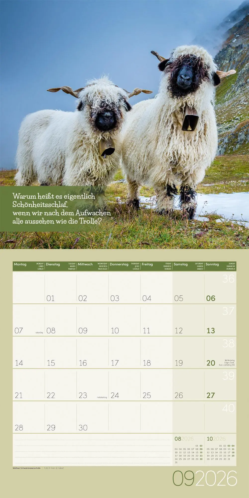 Bild: 9783838446226 | Keep Smiling! Kalender 2026 - 30x30 | Ackermann Kunstverlag GmbH