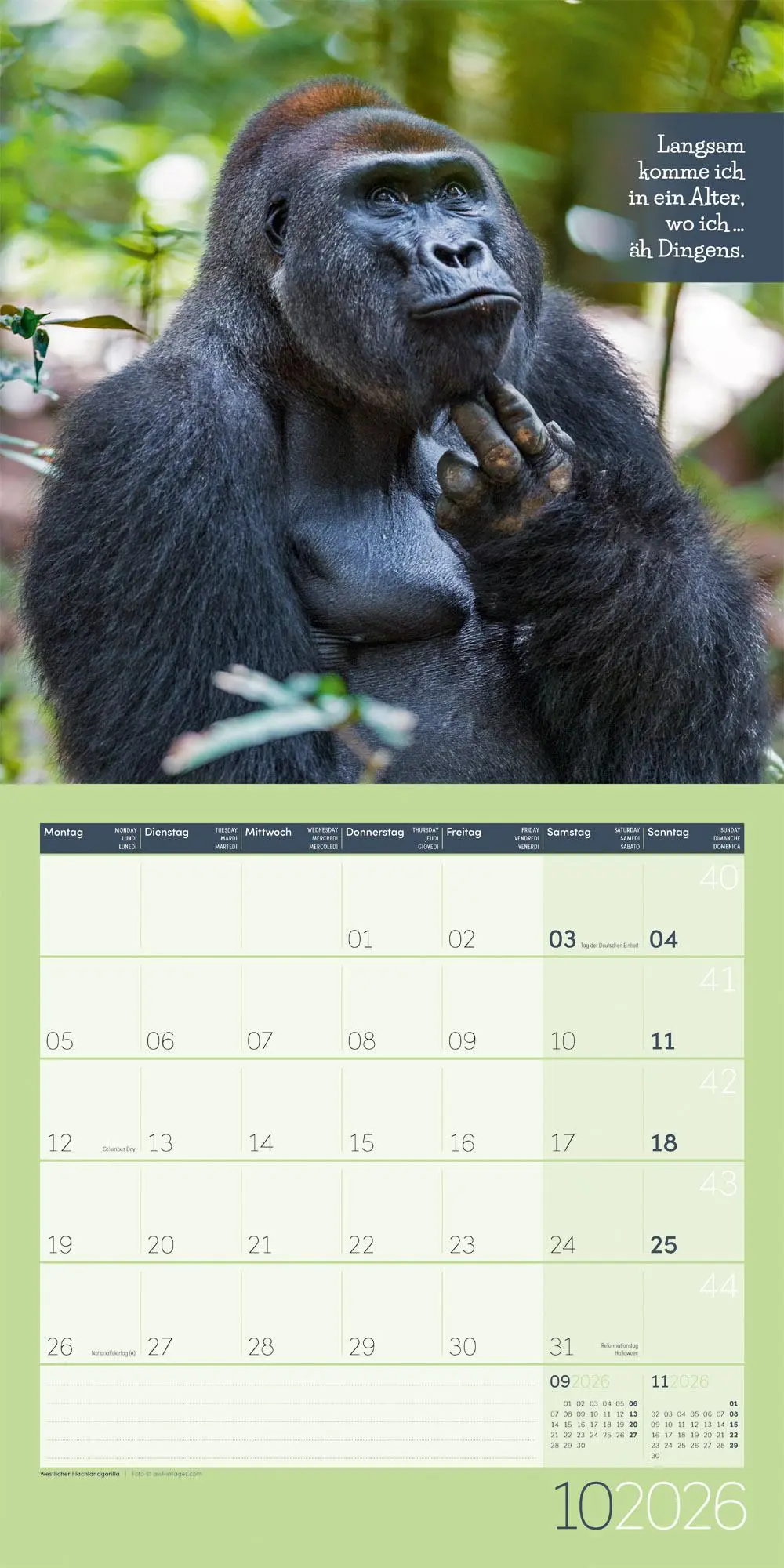 Bild: 9783838446226 | Keep Smiling! Kalender 2026 - 30x30 | Ackermann Kunstverlag GmbH