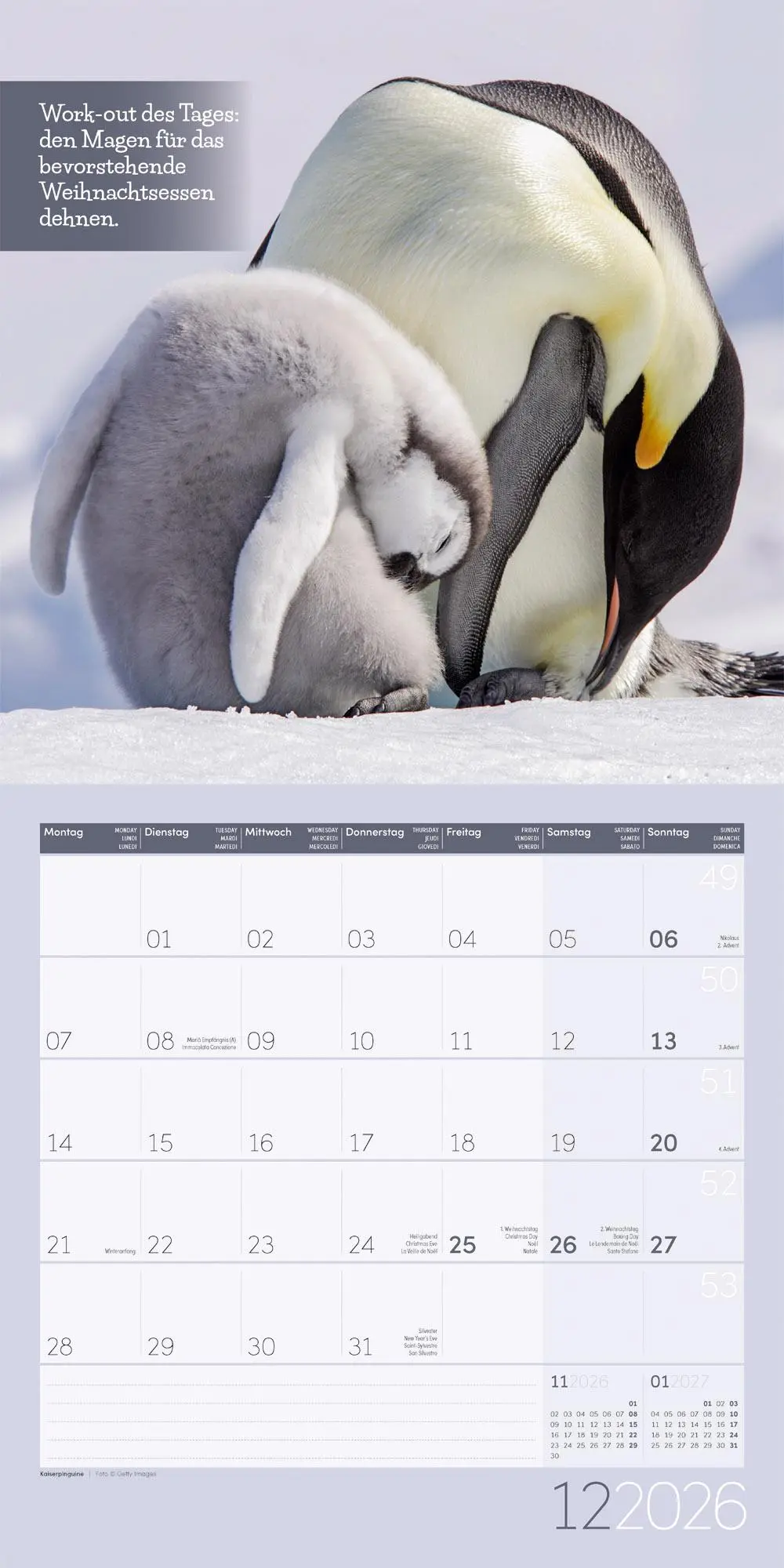 Bild: 9783838446226 | Keep Smiling! Kalender 2026 - 30x30 | Ackermann Kunstverlag GmbH