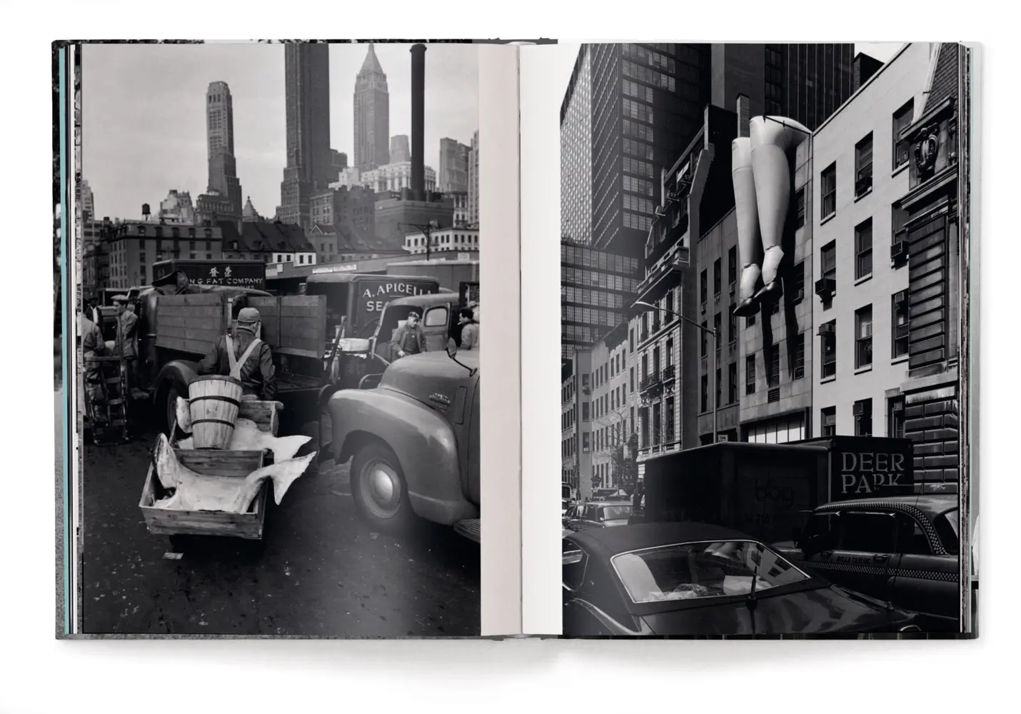 Bild: 9783961716326 | Personal Best | Elliott Erwitt | Taschenbuch | 448 S. | Deutsch | 2025