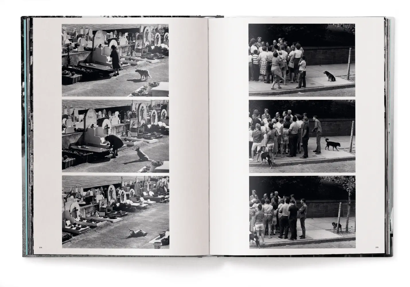 Bild: 9783961716326 | Personal Best | Elliott Erwitt | Taschenbuch | 448 S. | Deutsch | 2025