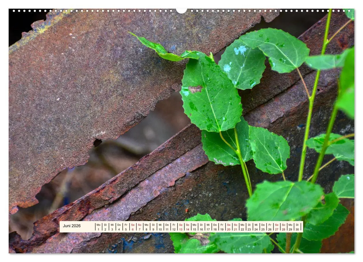 Bild: 9783457276426 | Autowracks - Verlorener Glanz 2026 (Wandkalender 2026 DIN A2 quer),...