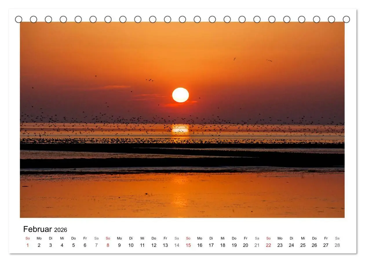 Bild: 9783457966426 | Ostfriesland - Tour (Tischkalender 2026 DIN A5 quer), CALVENDO...