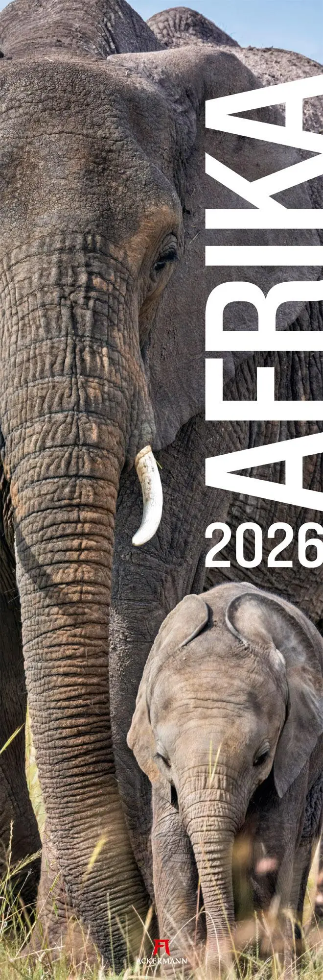Cover: 9783838426426 | Afrika Vertikal Kalender 2026 | Ackermann Kunstverlag GmbH | Kalender