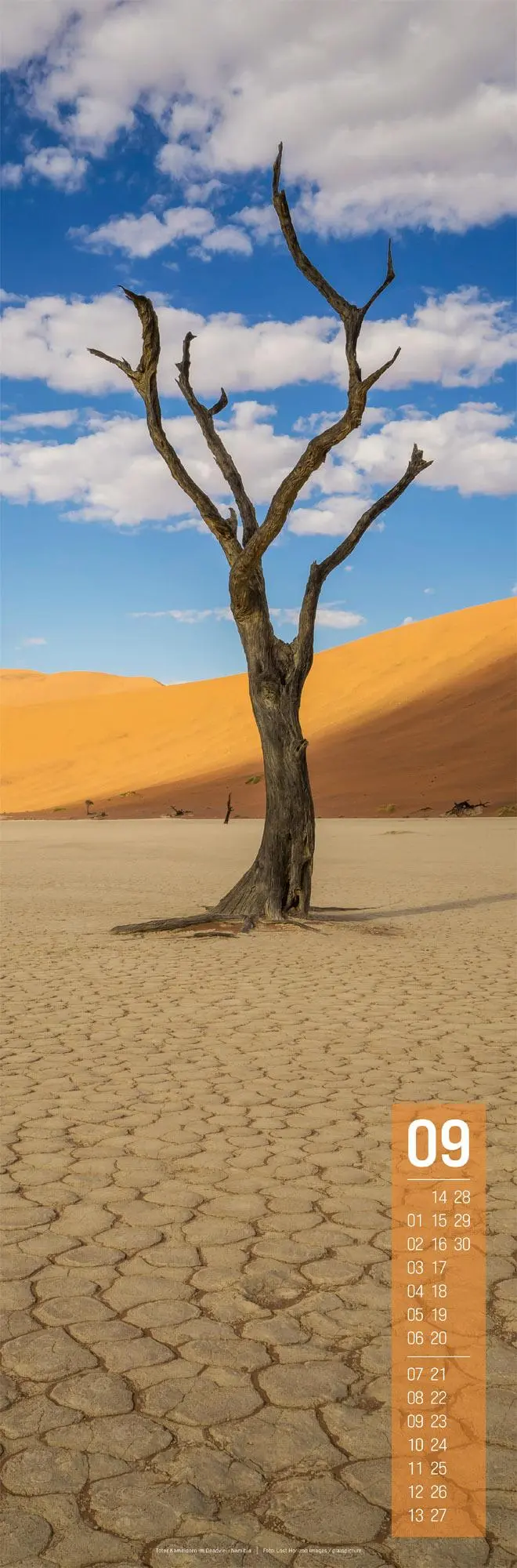 Bild: 9783838426426 | Afrika Vertikal Kalender 2026 | Ackermann Kunstverlag GmbH | Kalender
