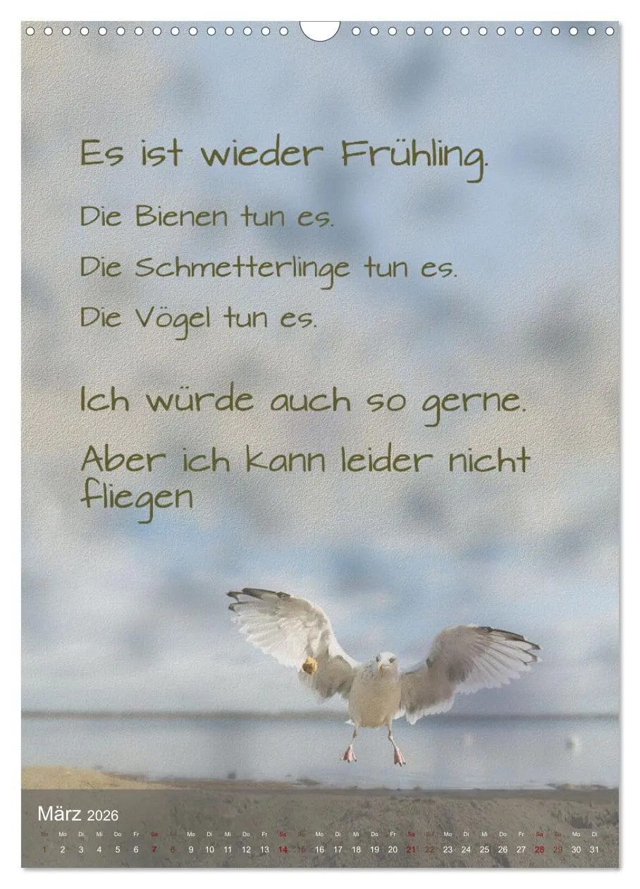 Bild: 9783516346626 | Heute ist ein guter Tag (Wandkalender 2026 DIN A3 hoch), CALVENDO...