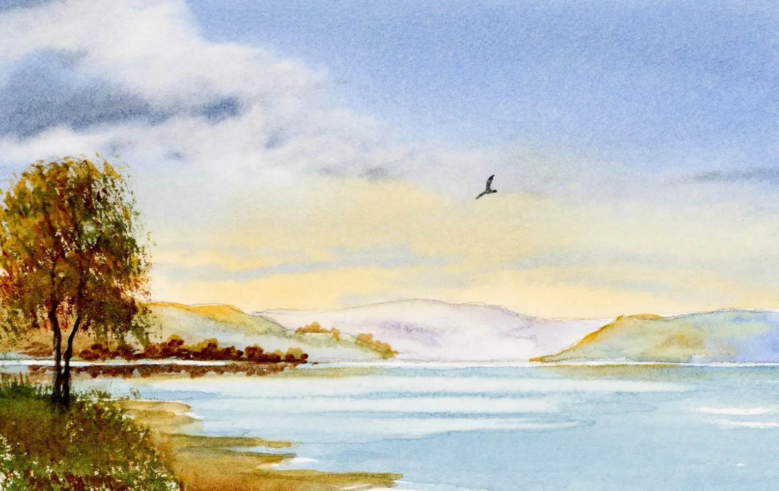 Bild: 9781446316726 | Watercolor Mixing Deck: Landscapes | Charles Evans | Box | Englisch