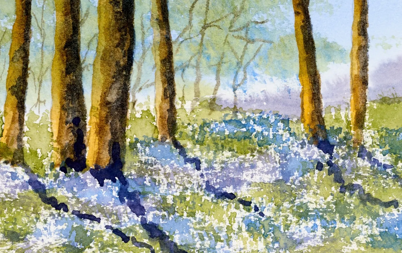 Bild: 9781446316726 | Watercolor Mixing Deck: Landscapes | Charles Evans | Box | Englisch