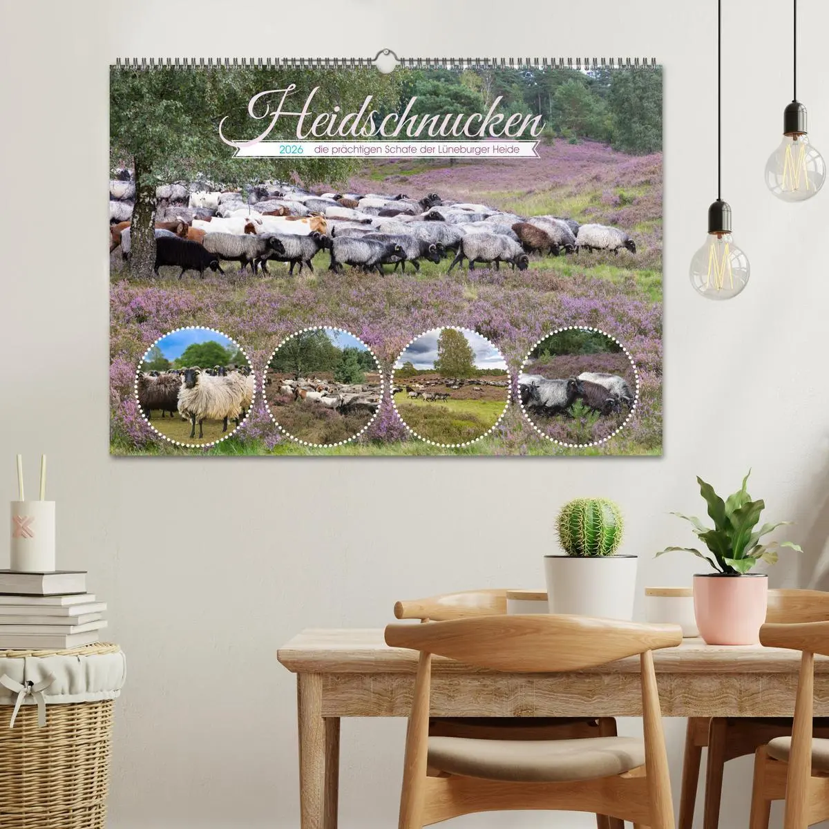 Bild: 9783457486726 | Heidschnucken, die prächtigen Schafe der Lüneburger Heide...
