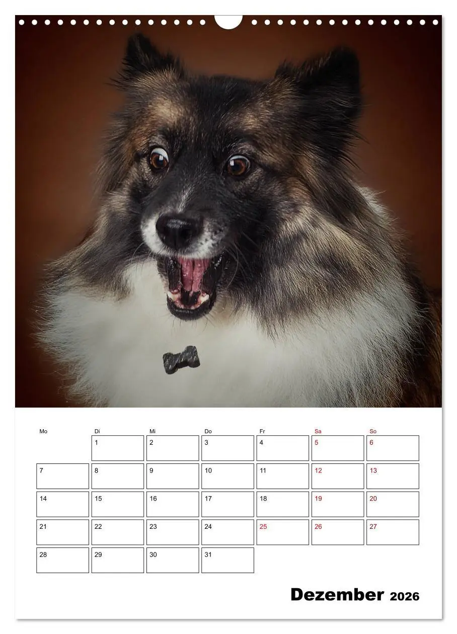 Bild: 9783516406726 | Fang das Leckerli (Wandkalender 2026 DIN A3 hoch), CALVENDO...