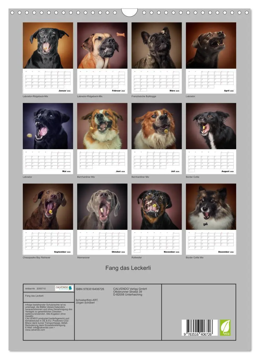 Bild: 9783516406726 | Fang das Leckerli (Wandkalender 2026 DIN A3 hoch), CALVENDO...