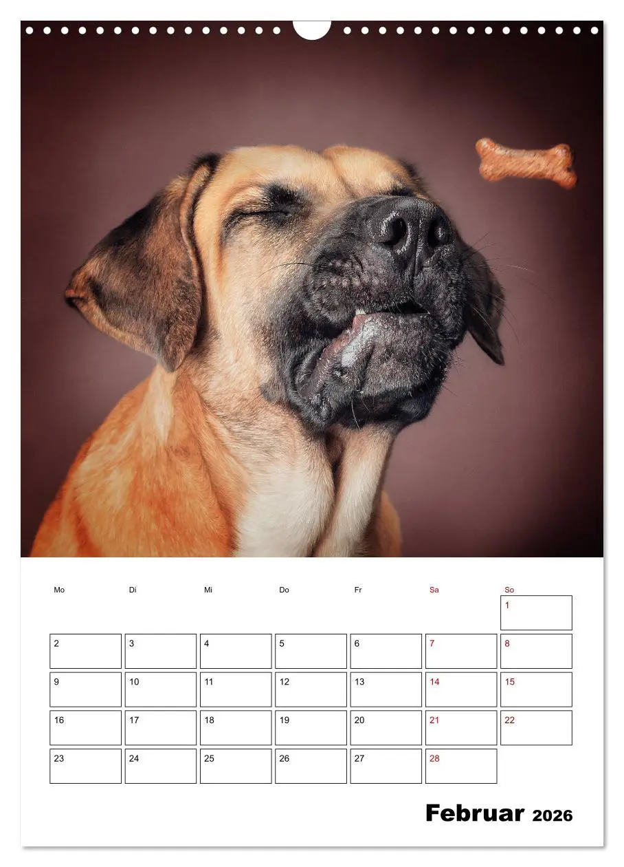 Bild: 9783516406726 | Fang das Leckerli (Wandkalender 2026 DIN A3 hoch), CALVENDO...