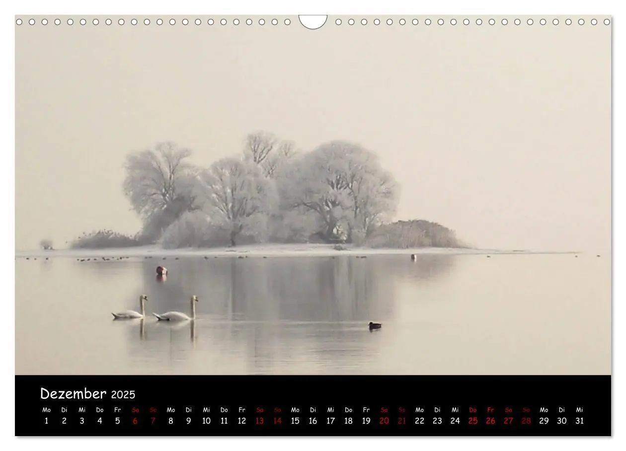 Bild: 9783435456826 | Traumhaft schöner Bodensee (Wandkalender 2025 DIN A3 quer),...