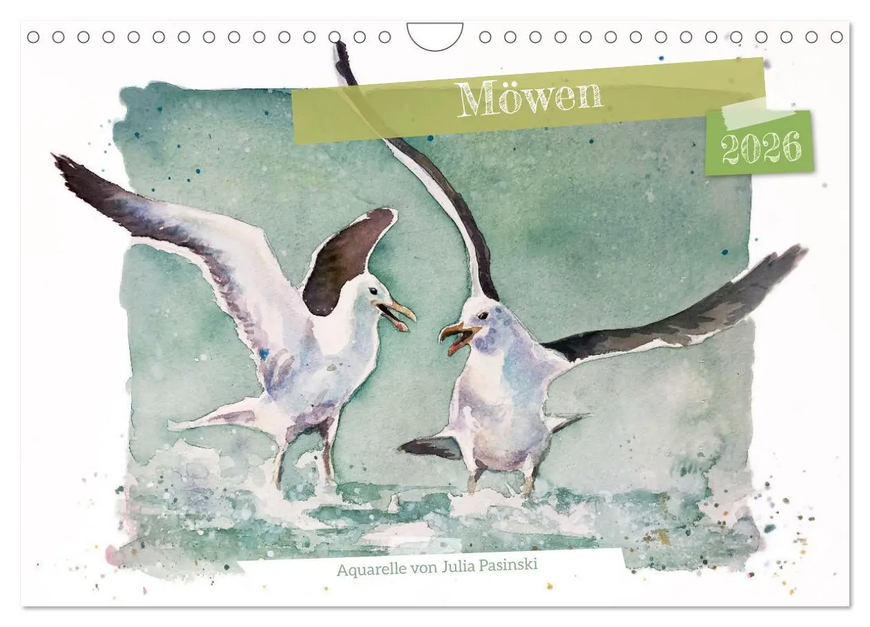 Cover: 9783457546826 | Möwen - Aquarelle von Julia Pasinski (Wandkalender 2026 DIN A4...