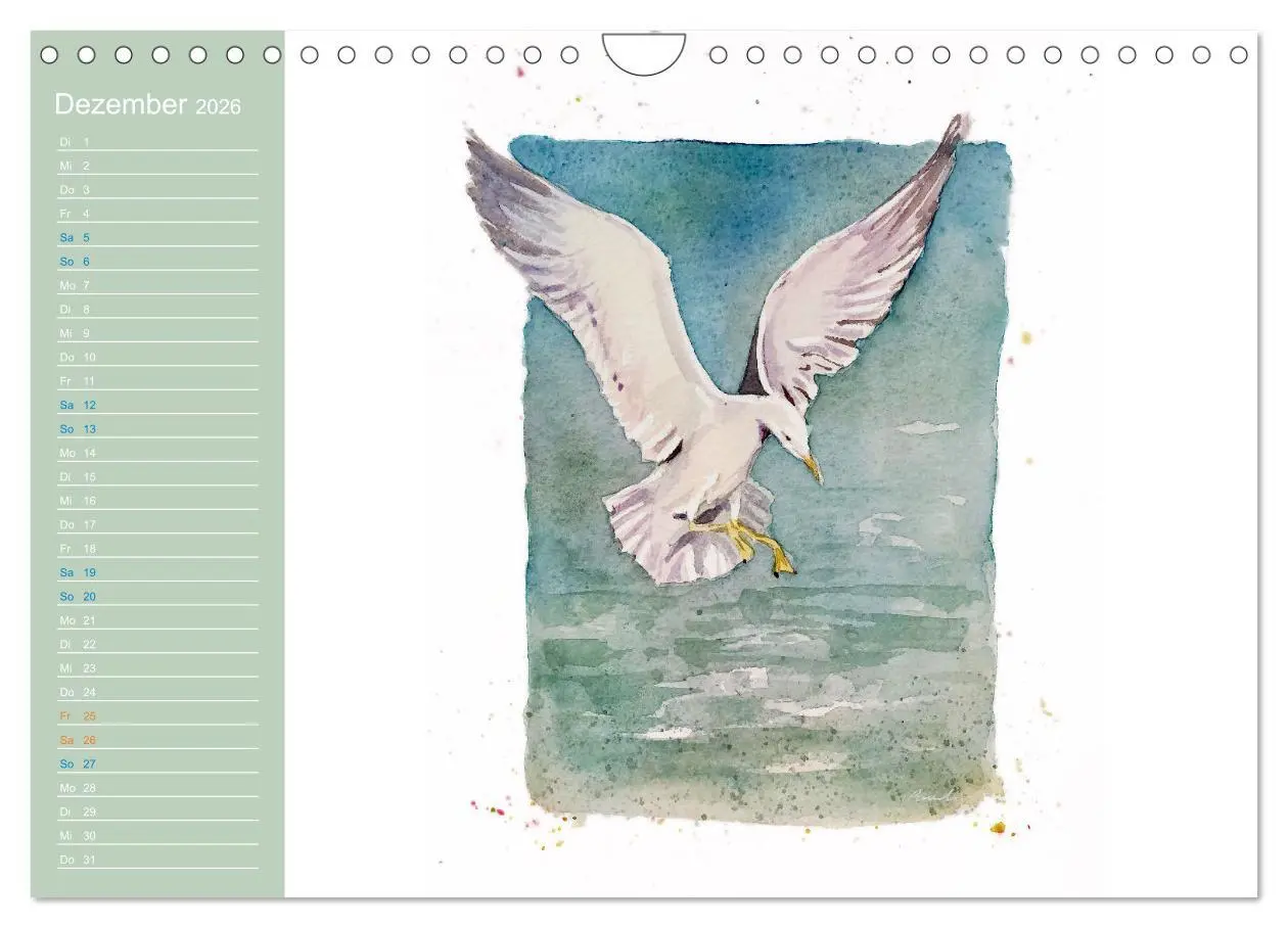 Bild: 9783457546826 | Möwen - Aquarelle von Julia Pasinski (Wandkalender 2026 DIN A4...