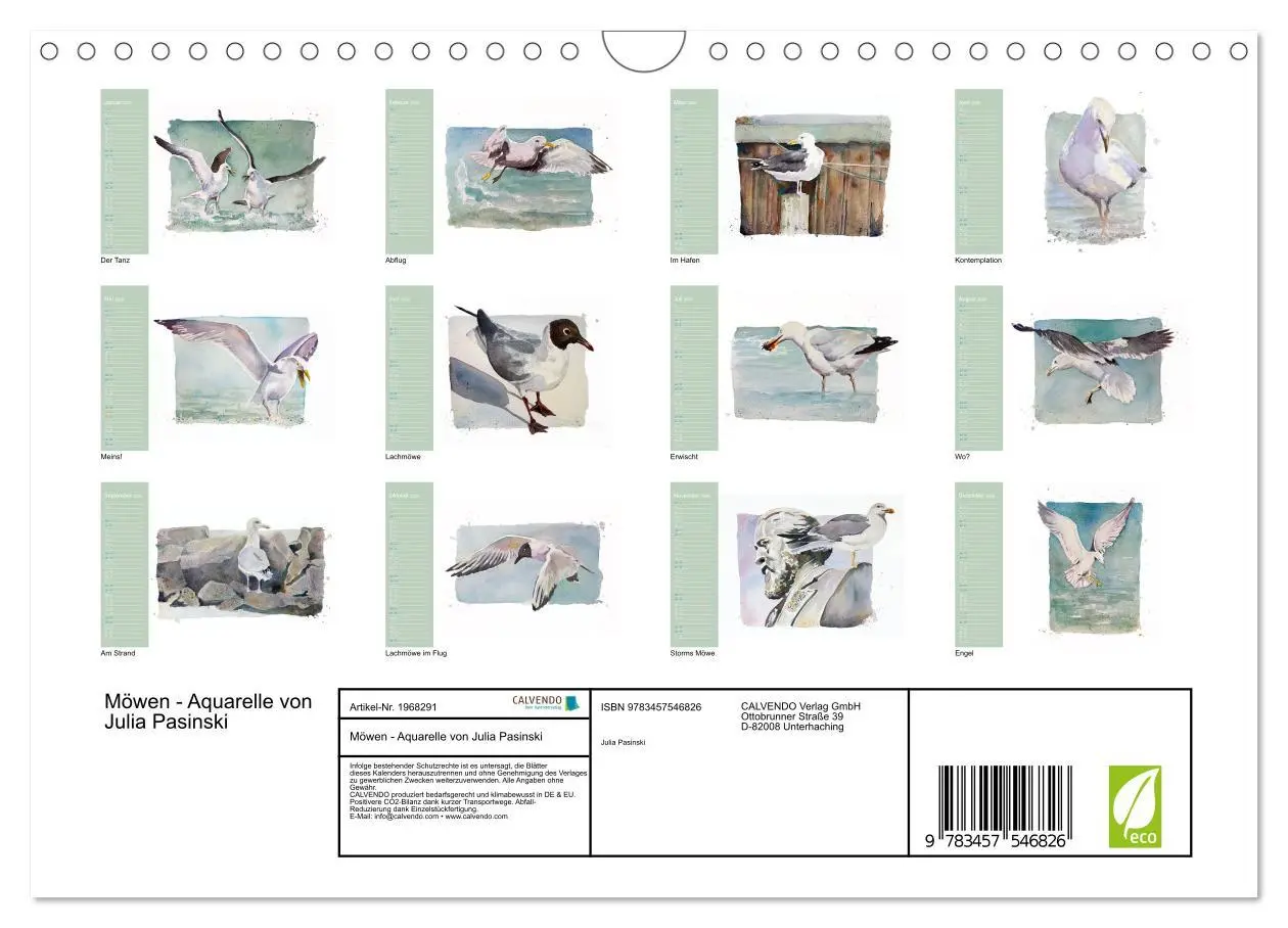 Bild: 9783457546826 | Möwen - Aquarelle von Julia Pasinski (Wandkalender 2026 DIN A4...