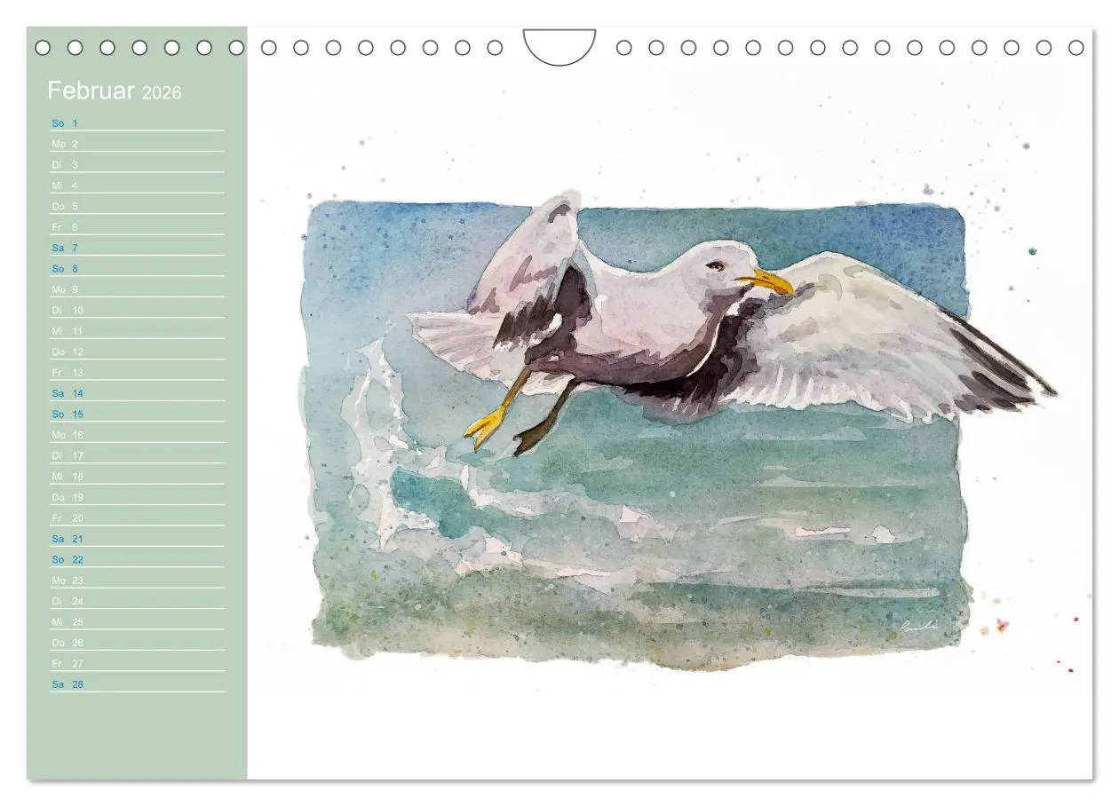 Bild: 9783457546826 | Möwen - Aquarelle von Julia Pasinski (Wandkalender 2026 DIN A4...