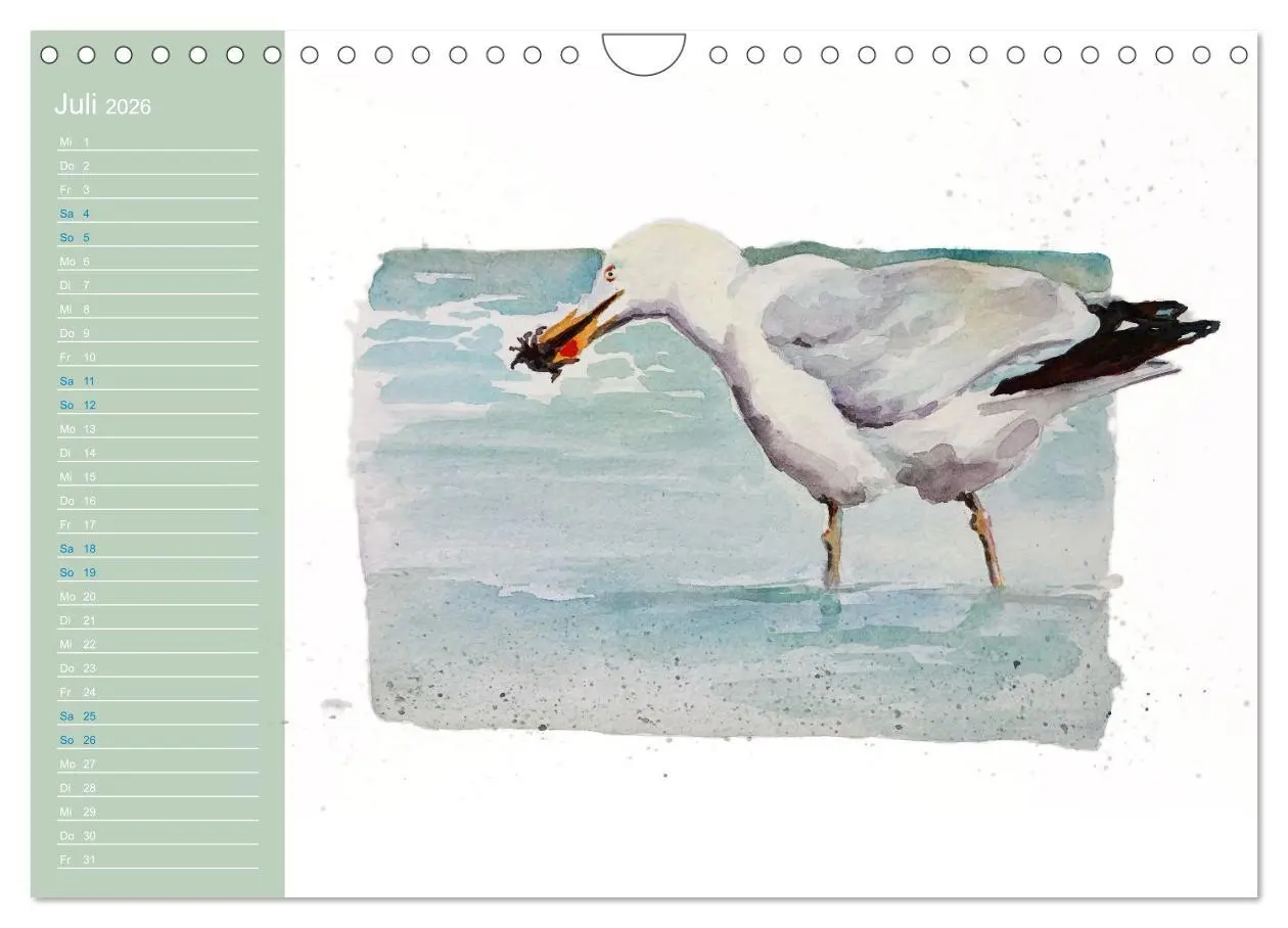 Bild: 9783457546826 | Möwen - Aquarelle von Julia Pasinski (Wandkalender 2026 DIN A4...