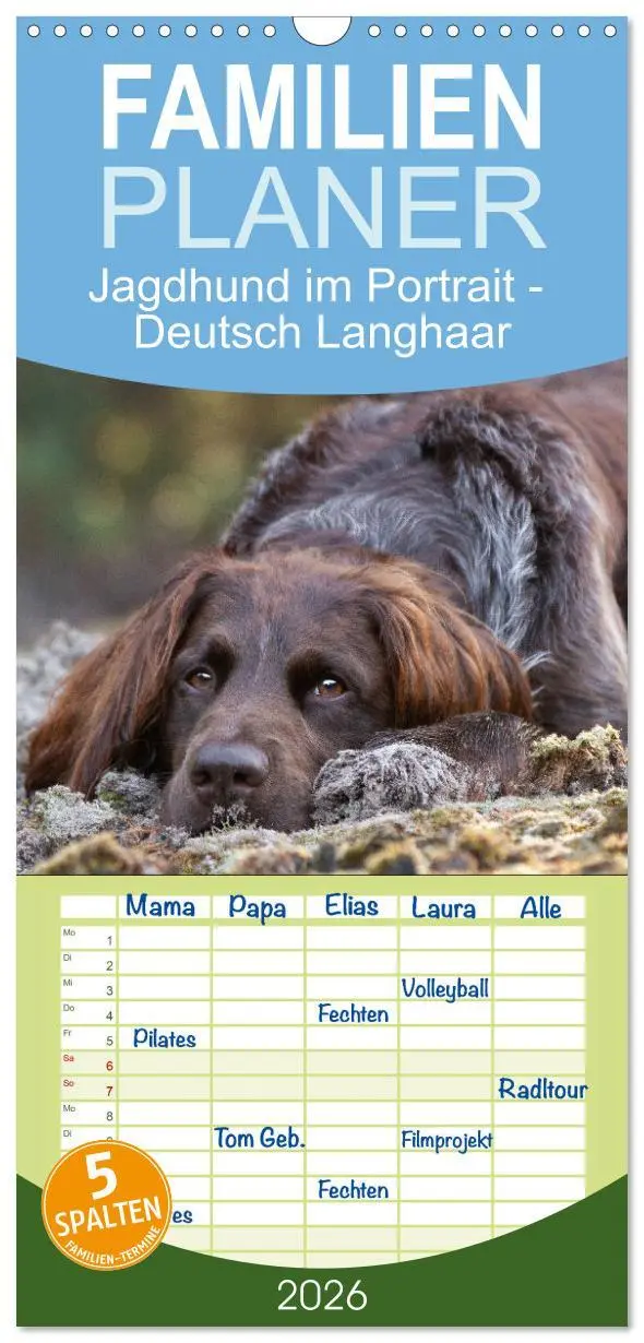 Cover: 9783516496826 | Familienplaner 2026 - Jagdhund im Portrait - Deutsch Langhaar mit 5...