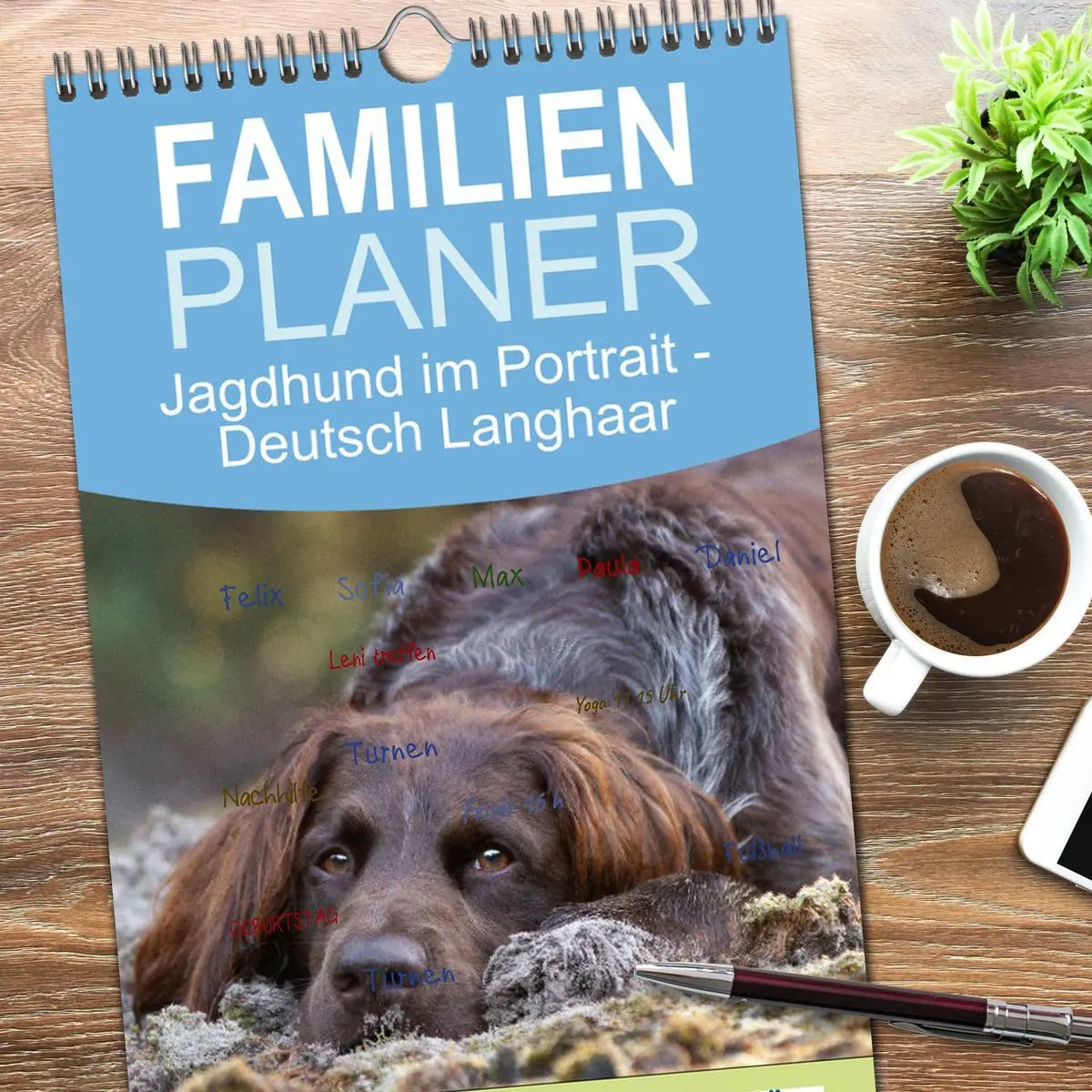 Bild: 9783516496826 | Familienplaner 2026 - Jagdhund im Portrait - Deutsch Langhaar mit 5...