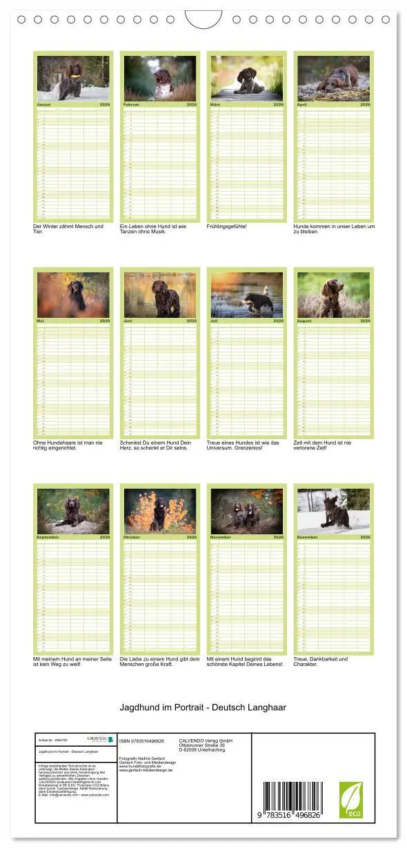 Bild: 9783516496826 | Familienplaner 2026 - Jagdhund im Portrait - Deutsch Langhaar mit 5...