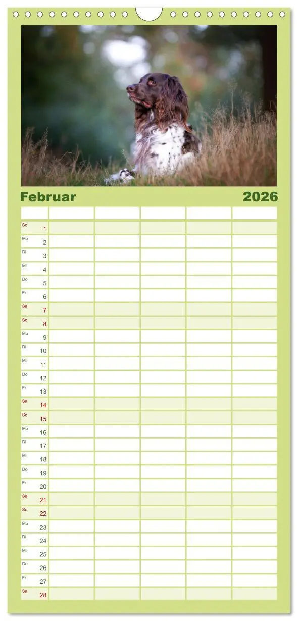 Bild: 9783516496826 | Familienplaner 2026 - Jagdhund im Portrait - Deutsch Langhaar mit 5...