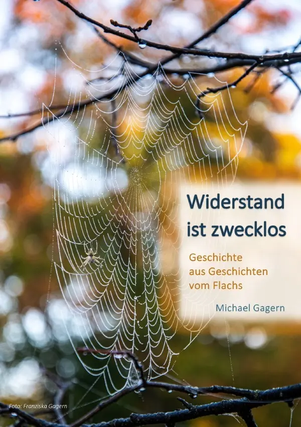 Cover: 9783565146826 | Widerstand ist zwecklos | Geschichte aus Geschichten vom Flachs | Buch