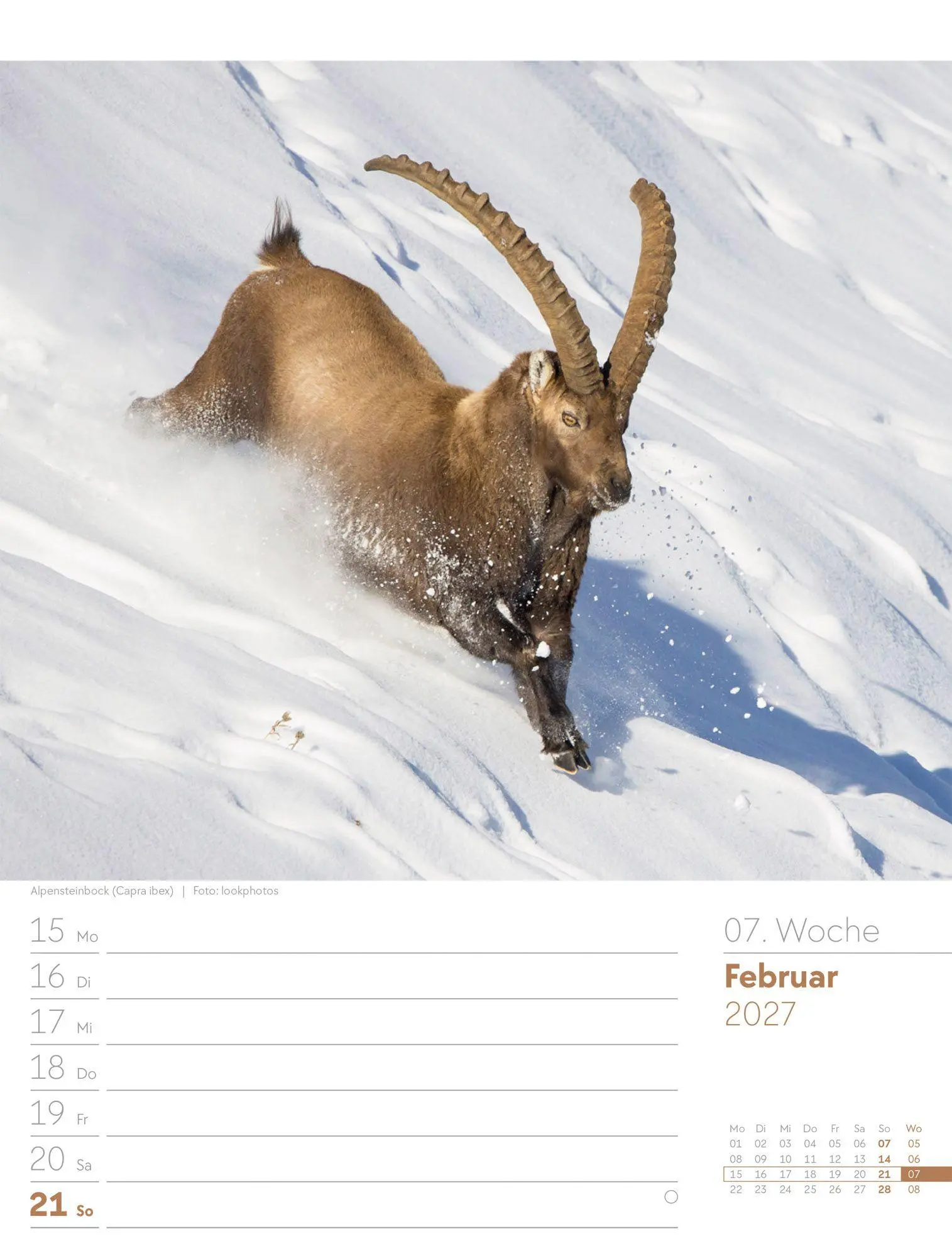 Bild: 9783838437026 | Faszination Alpenwelt Wochenplaner Kalender 2027 | GmbH | Kalender