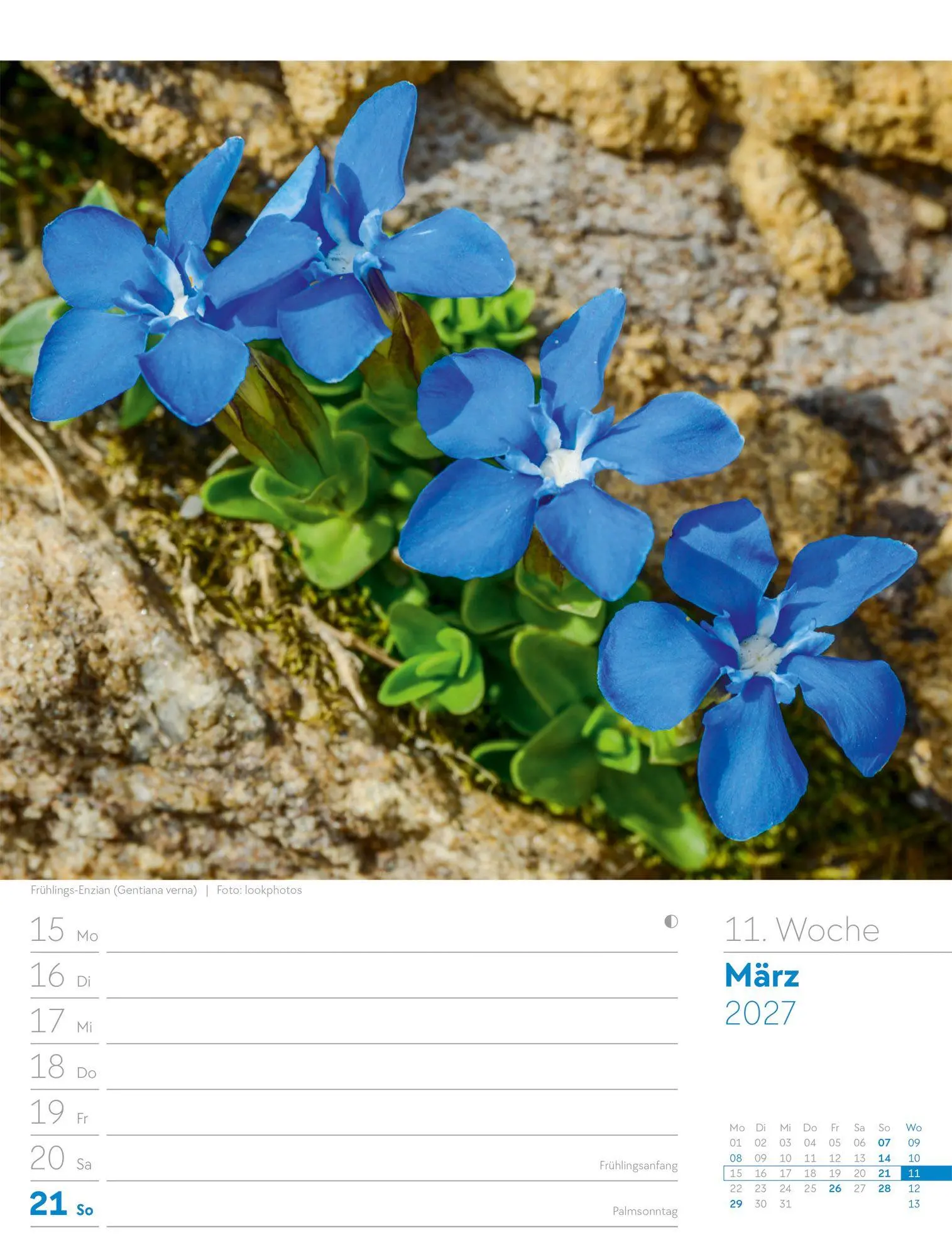 Bild: 9783838437026 | Faszination Alpenwelt Wochenplaner Kalender 2027 | GmbH | Kalender