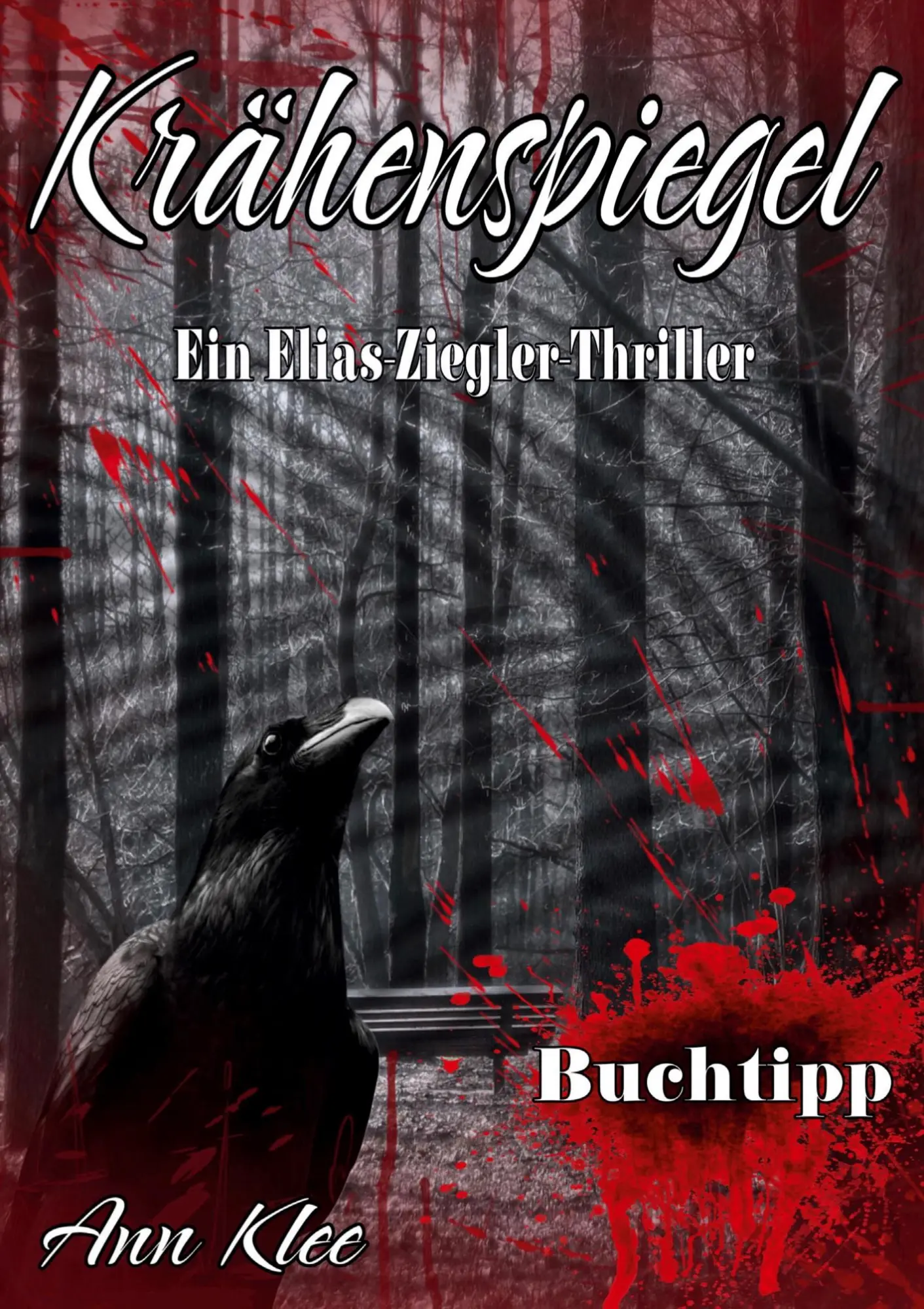 Cover: 9783988857026 | Krähenspiegel | Ein Elias-Ziegler-Thriller | Ann Klee | Taschenbuch