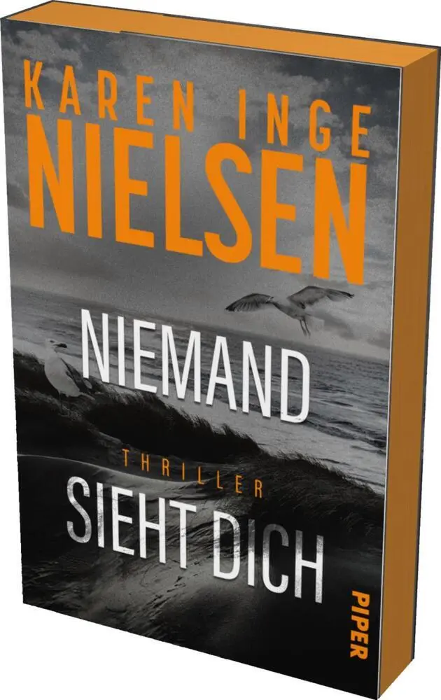 Cover: 9783492067126 | Niemand sieht dich | Karen Inge Nielsen | Taschenbuch | Grenzland