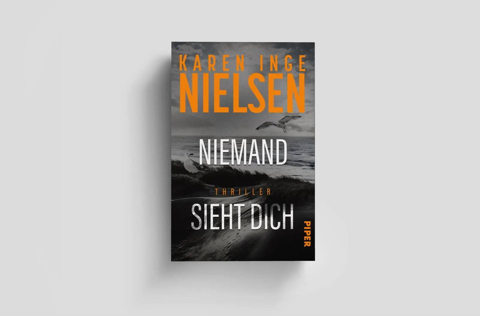 Bild: 9783492067126 | Niemand sieht dich | Karen Inge Nielsen | Taschenbuch | Grenzland