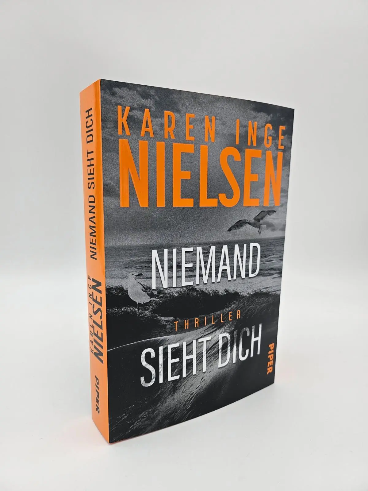 Bild: 9783492067126 | Niemand sieht dich | Karen Inge Nielsen | Taschenbuch | Grenzland