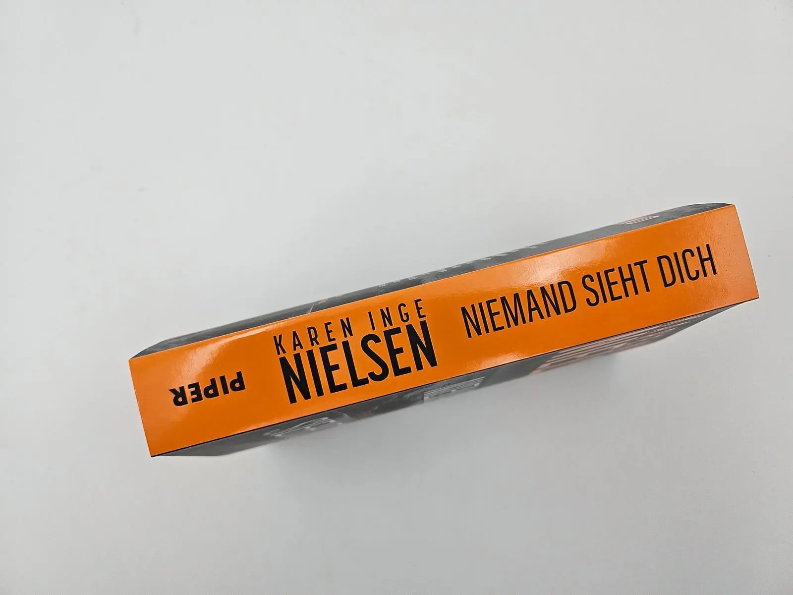 Bild: 9783492067126 | Niemand sieht dich | Karen Inge Nielsen | Taschenbuch | Grenzland