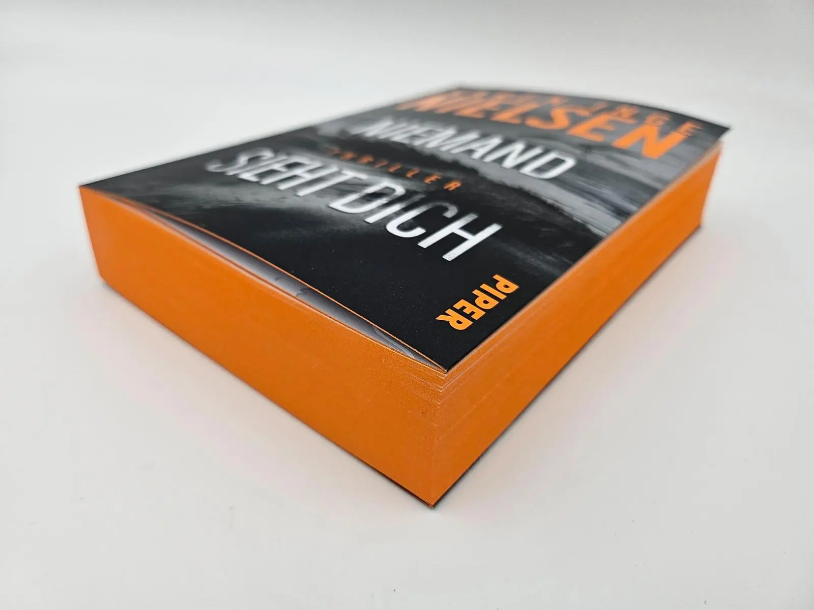 Bild: 9783492067126 | Niemand sieht dich | Karen Inge Nielsen | Taschenbuch | Grenzland