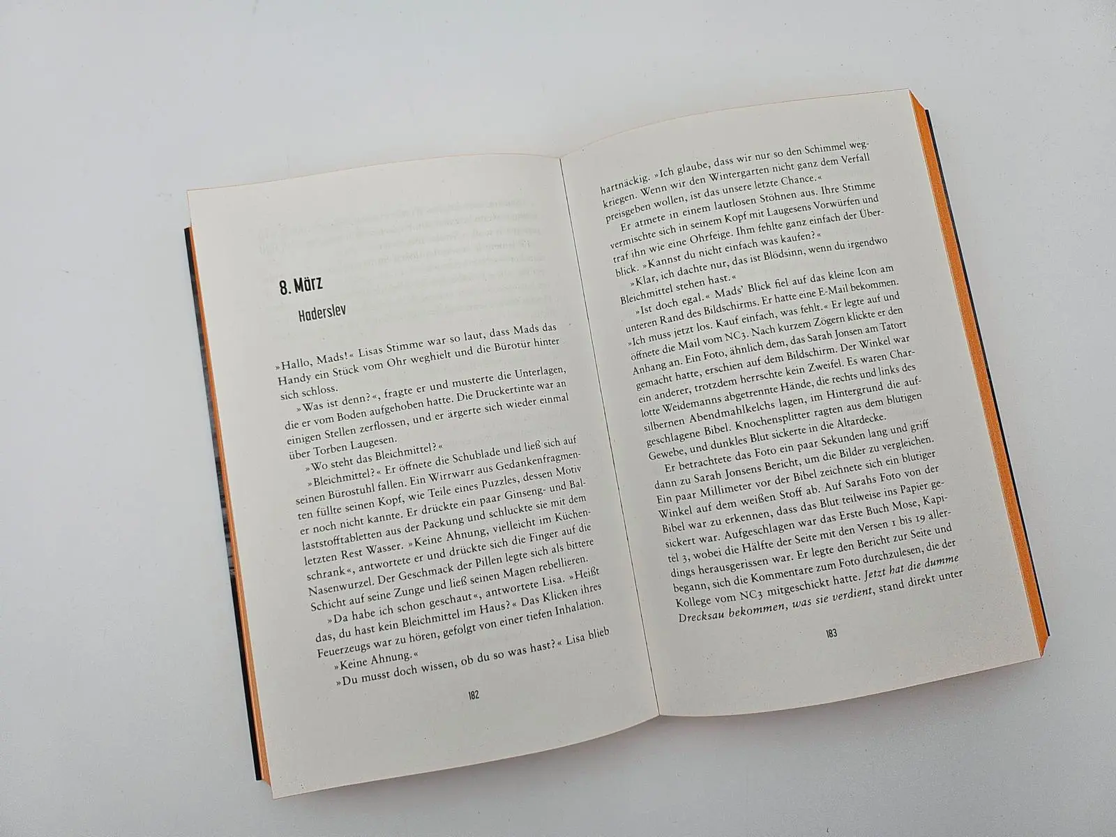 Bild: 9783492067126 | Niemand sieht dich | Karen Inge Nielsen | Taschenbuch | Grenzland