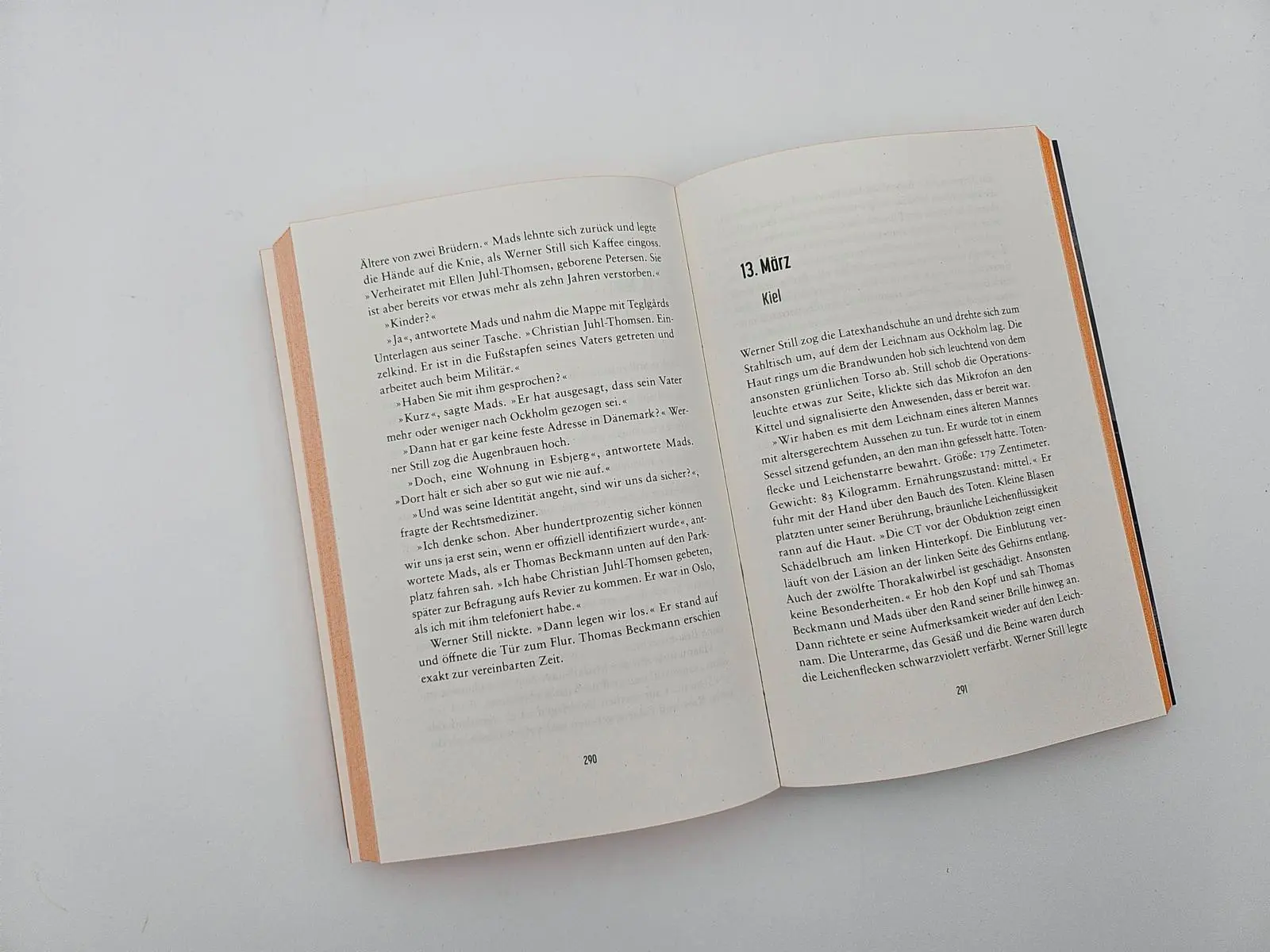 Bild: 9783492067126 | Niemand sieht dich | Karen Inge Nielsen | Taschenbuch | Grenzland