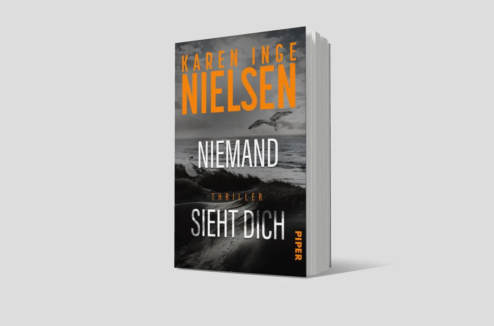 Bild: 9783492067126 | Niemand sieht dich | Karen Inge Nielsen | Taschenbuch | Grenzland