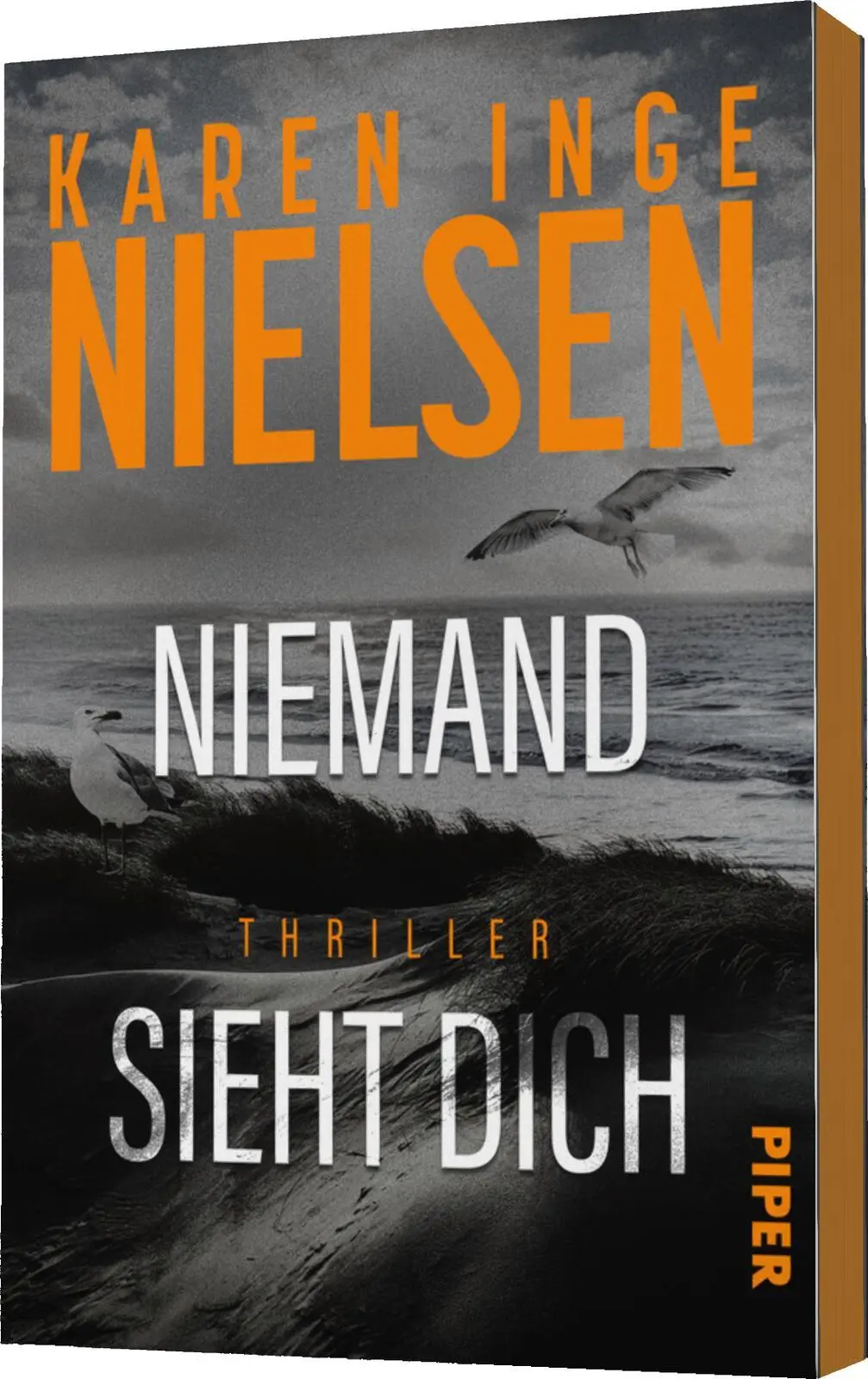 Bild: 9783492067126 | Niemand sieht dich | Karen Inge Nielsen | Taschenbuch | Grenzland