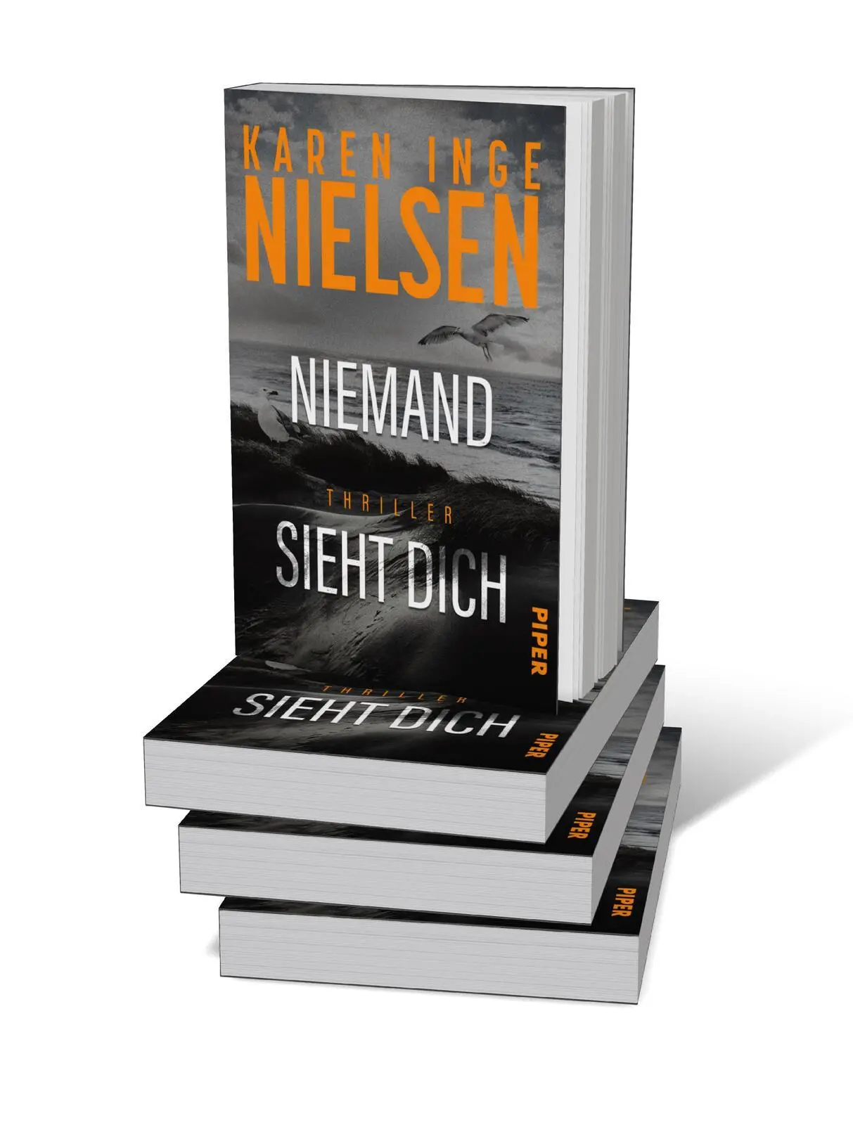 Bild: 9783492067126 | Niemand sieht dich | Karen Inge Nielsen | Taschenbuch | Grenzland