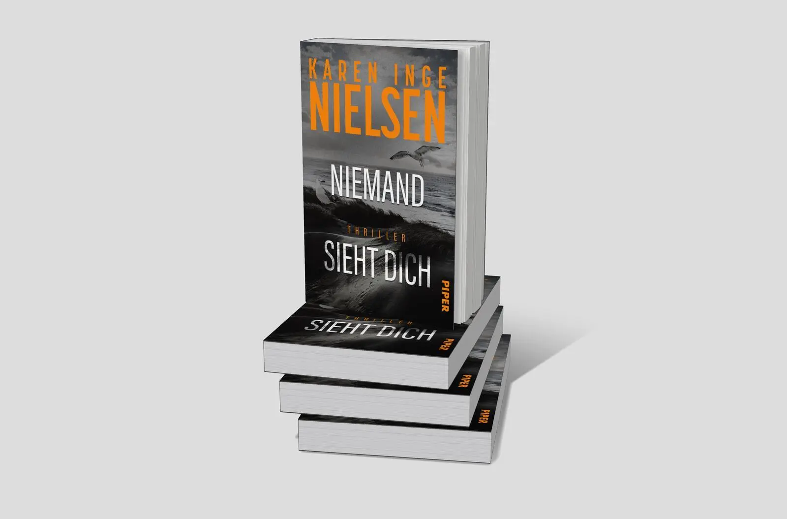 Bild: 9783492067126 | Niemand sieht dich | Karen Inge Nielsen | Taschenbuch | Grenzland