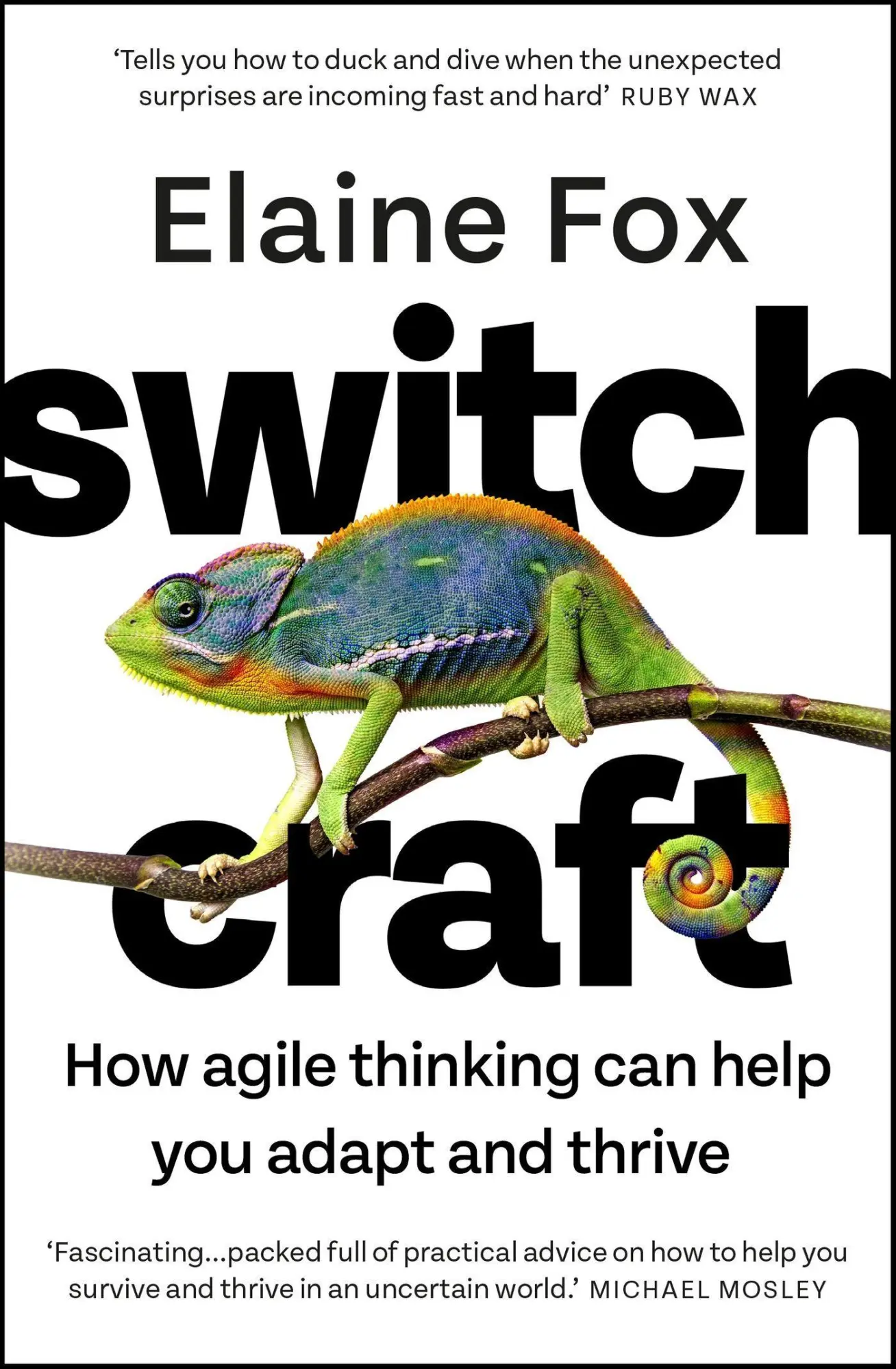 Cover: 9781529357226 | Switchcraft | Elaine Fox | Taschenbuch | Kartoniert / Broschiert
