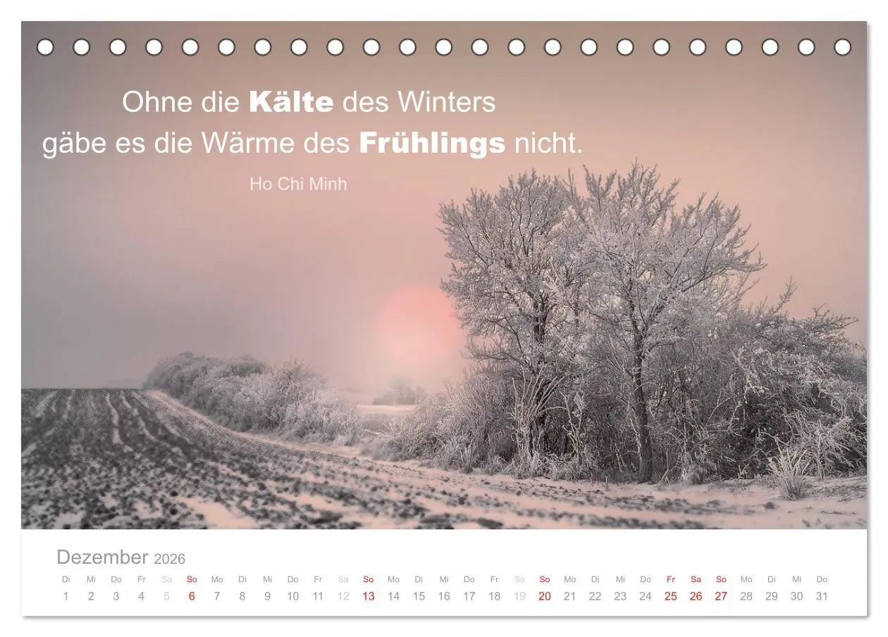 Bild: 9783457957226 | Zauberhafte Sprüche - Bunte Seelenblüten (Tischkalender 2026 DIN A5...